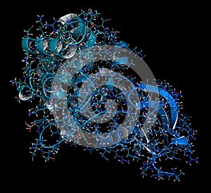 Janus kinase 1 protein. Part of JAK-STAT signalling pathway and drug target. 3D rendering, cartoon line representation. N-to-C.