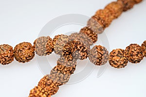 Japa mala (prayer beads) made of rudraksha isolated photo