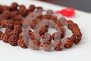 Japa mala. Prayer beads made from the seeds of the rudraksha tree photo