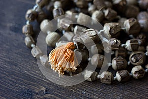 Japa mala rosary - hinduism and buddism rosary made from tulsi tree for hare krishna chanting