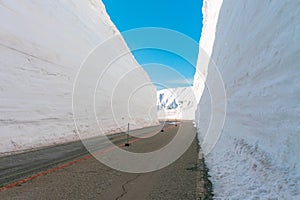 The japan alps or the snow mountains wall of Tateyama Kurobe alpine in sunshine day with blue sky background is one of the