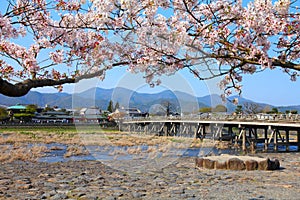 Japan - Arashiyama