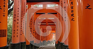 Japan, arch path and red gate of shrine for religion, sacred and spiritual entrance in Kyoto outdoor. Travel, writing