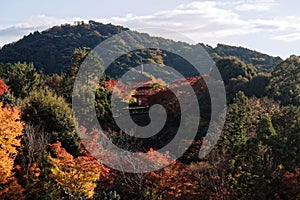 Japan autumn landscape. Colorful leaves and stream in Japan