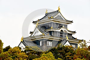 Japan castle Okayama macro view photo