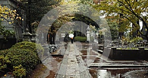 Japan cemetery, person and religion by tombstone in nature, rain and walking by autumn leaves with umbrella. Wet