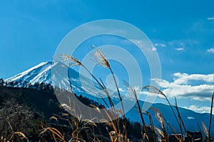 Japan - A close up view on Mt fuji from Kawaguchiko Lake