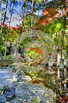 Japan Destinations. Tradtional Japanese Garden With Seasonal Red Maple Trees Near Lake Kawaguchiko During Fall Season in Japan
