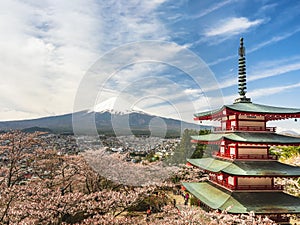 Japan Fuji mountain Sakura cherry blossom with Red pagoda landscape Tokyo