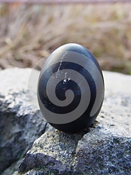 Japan Hakone Black Volcanic Boiled Egg photo