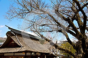 japan house roof in Oshino Village