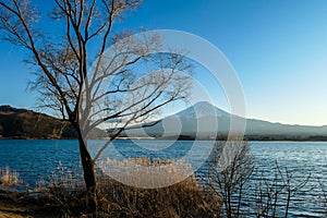 Japan - Idyllic landscape of Kawaguchiko Lake and Mt Fuji