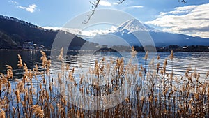 Japan - An idyllic view on Mt Fuji from Kawaguchiko Lake