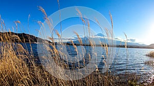 Japan - An idyllic view on Mt Fuji from Kawaguchiko Lake