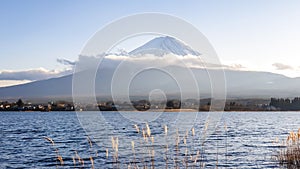 Japan - An idyllic view on Mt Fuji from Kawaguchiko Lake