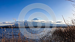 Japan - An idyllic view on Mt Fuji from Kawaguchiko Lake