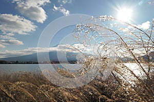 Japan - An idyllic view on Mt Fuji from Kawaguchiko Lake