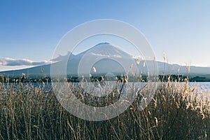 Japan - An idyllic view on Mt Fuji from Kawaguchiko Lake