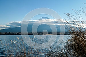 Japan - An idyllic view on Mt Fuji from Kawaguchiko Lake