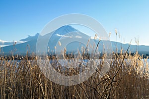 Japan - An idyllic view on Mt Fuji from Kawaguchiko Lake