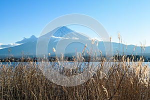 Japan - An idyllic view on Mt Fuji from Kawaguchiko Lake