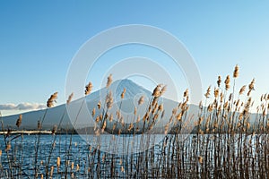 Japan - An idyllic view on Mt Fuji from Kawaguchiko Lake