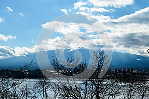 Japan - An idyllic view on Mt Fuji from kawaguchiko Lake disturbed by some tree braches