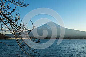 Japan - An idyllic view on Mt Fuji from kawaguchiko Lake disturbed by some tree braches
