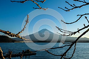 Japan - An idyllic view on Mt Fuji from kawaguchiko Lake disturbed by some tree braches