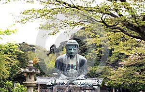 Japan, Kamakura, Great Buddha