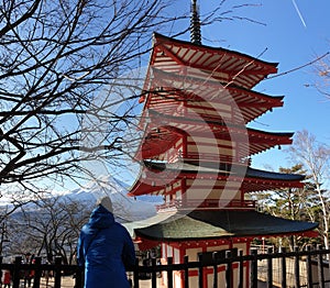 Japan - A man admiring with Chuerito Pagoda and Mt Fuji in the back