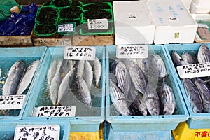 Japan Morning Market, Katsuura, Local stall holders can be seen selling thier produce in this 400 year old Market place.
