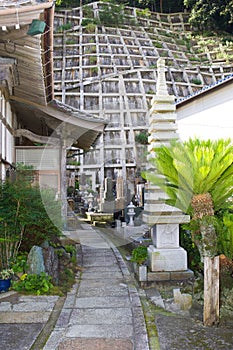 Japan Morning Market, Katsuura, Local stall holders can be seen selling thier produce in this 400 year old Market place.