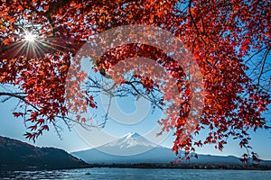 Japan Mount Fuji and Kawaguchiko Lake Autumn Postcard View with Maple Red Color Leafs photo