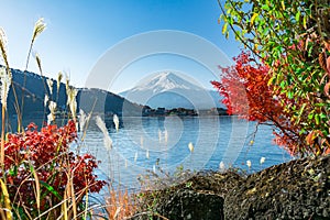 Japan Mount Fuji and Kawaguchiko Lake Autumn View