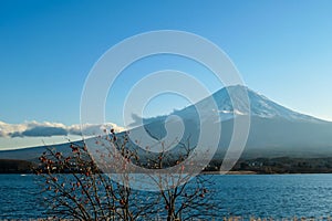 Japan - Mt Fuji seen from the side of Kawaguchiko Lake