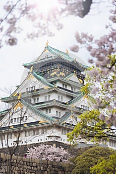 Japan Osaka castle with cherry blossom. Japanese