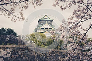 Japan Osaka castle with cherry blossom. Japanese spring view. ,v