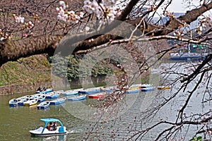 Japan outdoor park river with colorful sight seeing boat in sunny day