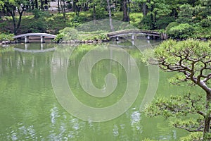 Japan pond with bridges and trees