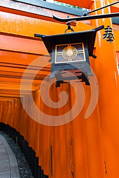 Japan red gates shrine