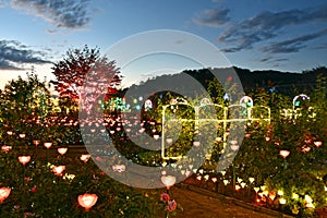 Ashikaga Flower Park Winter Illumination 2018