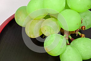 Japan`s green Muscat placed on a red lacquer ware