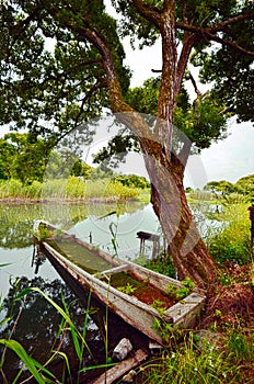 Japan`s Secret Garden and river