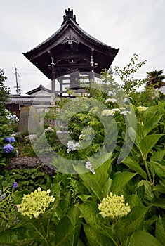 Japan`s Secret Garden and temple.