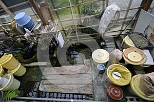 Japan`s Secret Watergarden.