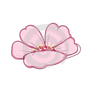 japan sakura cherry blossom cartoon vector illustration