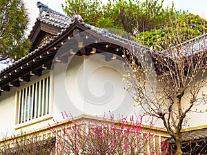 Japan spring blossoms in pink and white with traditional Japanese house in background