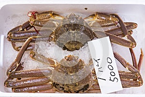Japan stock photo crabs