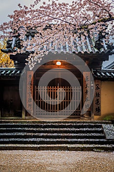 Japan temple photo